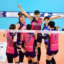 흥국생명 이미지