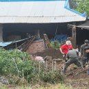 대원3리 이미지