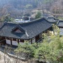 사진·디카시 동아리 48차 탐방 후기 이미지