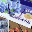 한들농장 이미지