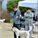 훈이애견