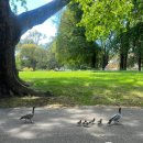 3065 | 호주 멜버른 :: 룰루레몬, 파타고니아 아울렛, 데이비드 마스터 팟, 도넛 실패후기