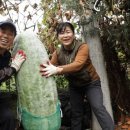 미순농장 이미지