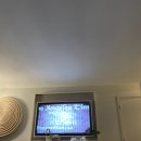 하와이 신혼여행 6박 8일 후기 / 2일 차 (하와이동부섬투어, 쿠알로아비치, 새우트럭, 와이켈레아울렛...