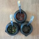 농부의밥상속초점 이미지