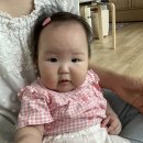 예쁘지아 이미지