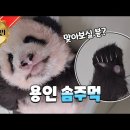영관농장 티스토리
