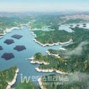 용수태양광발전소 이미지