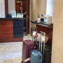 탑가브리엘클럽 | 마카오 여행] 베스트웨스턴 플러스 호텔 홍콩, 란퐁유엔, 타이쿤, 카우키 레스토랑, 대한항공 KE176 후기