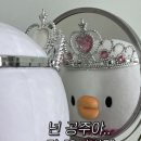 베라푸드 이미지