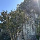 동밀양농협 단장지점 이미지