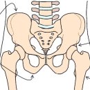 바름한의원 이미지
