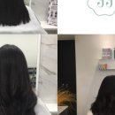 윤윤살롱