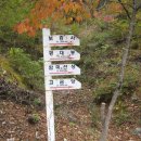 마이 가축인공수정소 이미지