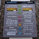 커브스 강서클럽 | 커브스 명지국제클럽에서 체력 끌어올려