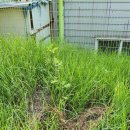 (주)지스텍 이미지