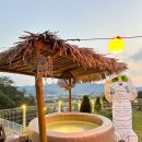 비행기나무 이미지