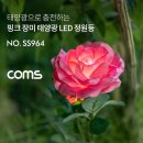 장미잡화 이미지