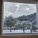 이부바바 이미지