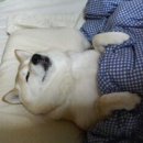 오일캠프 이미지