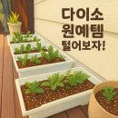화신웰빙 | 다이소 원예템 주워왔어요🌱 소소한 원예 추천템 털어보자! 🌿