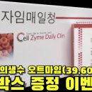 앨리스인크루즈