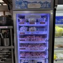 맛도리 궁동 마라샹궈 로충칭마라탕 후기