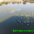 황금터부동산중개사무소 이미지