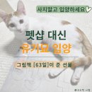송 동물병원 | 유기동물 입양 그림책 <63일> 서평 &amp; 포인핸드 입양 후기 (펫샵 대신 선택한 이유)