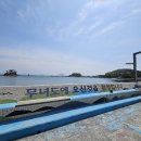 탁트인민박 | 무녀도 식사 제공 민박 추천 무녀도 노을횟집 삼시세끼 푸짐한 한상 후기