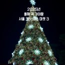 초롱타운 | [여행 정보] 2025 서울 크리스마스 마켓 일정 총정리_더현대 서울, 광화문, 잠실 예약방법, 2024년 후기