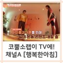 코뿔소랩 이미지