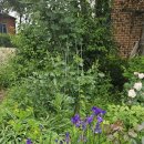 미소담농장 이미지