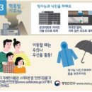 선업보시