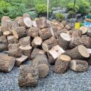 무릉도원면-4 이미지