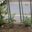 극동유치원 이미지