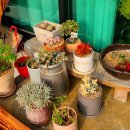 뜨개공방 크레아 이미지