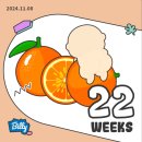 임신기록 22주 26주 기록 산후조리원 등록 지독한 독감 감기