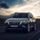 주식회사 플레이니스 이미지