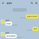 부산 2박 3일 맞습니다 이재모피자 톤쇼우 아키수산 프루토 프루타 꼼장어 문화양곱창 수변최고돼지국밥...