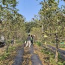 기동농장 이미지