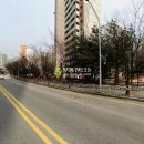 청솔(171) 이미지