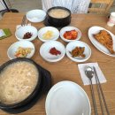 감나무식당 | 양양 황태국밥 맛집 감나무식당 3번째 방문 후기