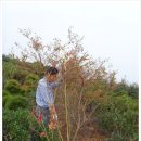 청목농장 이미지