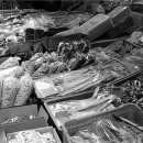 건어물만물상회 이미지