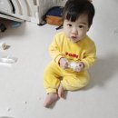지인어린이집 | 수원 용인 돌떡 어린이집 답례떡 한섬공방 푸곰돌이 백설기