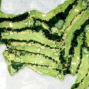 파크밸리 골프클럽 이미지