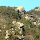 강동-천호-1146 이미지