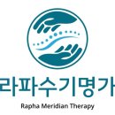 라파수기명가 네이버블로그