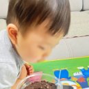 만수2동-4 이미지